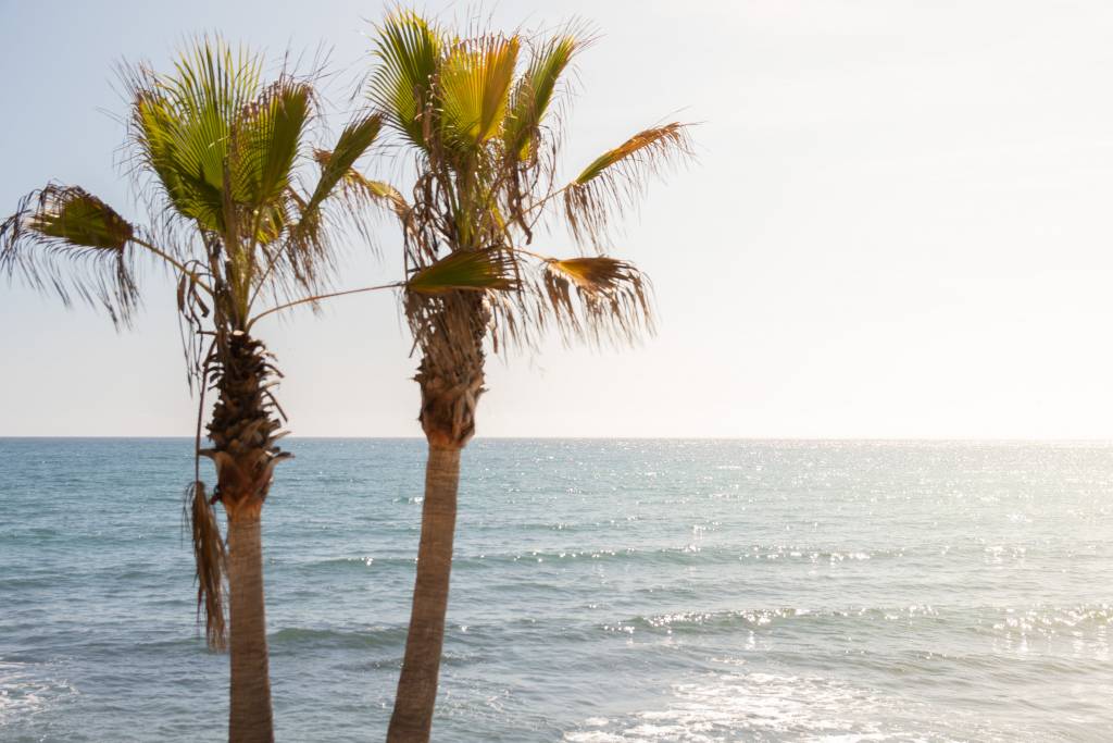 marbella spain guide