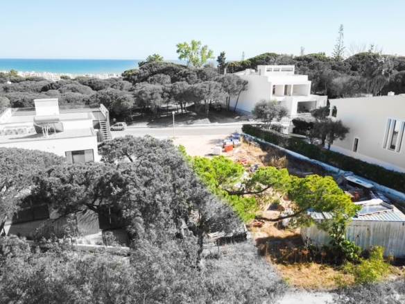 golden1391 image.jpg