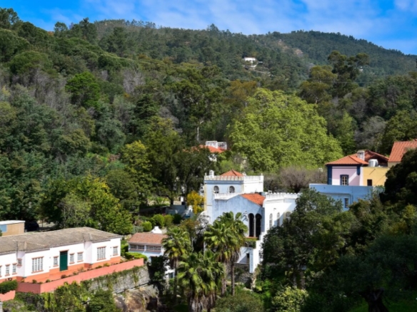 golden1686 image.jpg