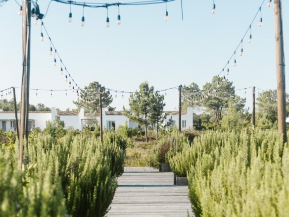 pf33816 image 48.jpg