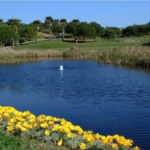 golden671 3 image.jpg
