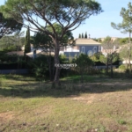 idh31239 image.png