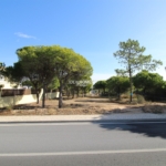 idh8495 image.jpg