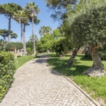 pf28857 image 45.jpg