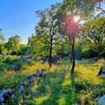 1696672536 uvala soline prodaja gradevinsko zemljiste 01