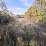 1731322128 malinska okolica poljoprivredno zemljiste uz rub gradevinske zone prodaja 0