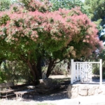 A6amjofkogkzqvfx 16 1