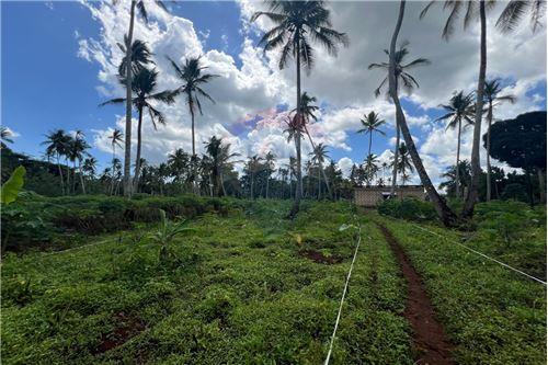 L 3e137950b3734d4892c7bdce2bf4de68