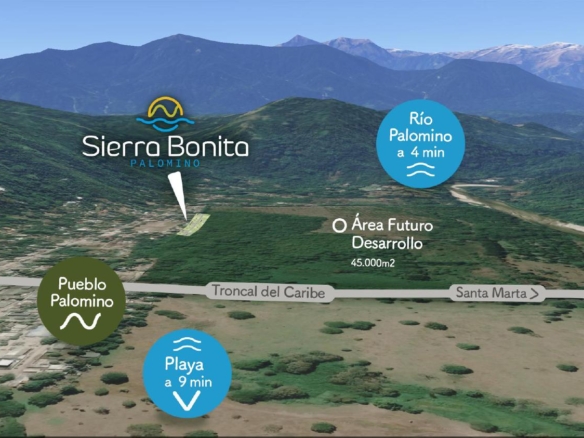 Sierra Bonita Palomino Brochoure 1 1 13