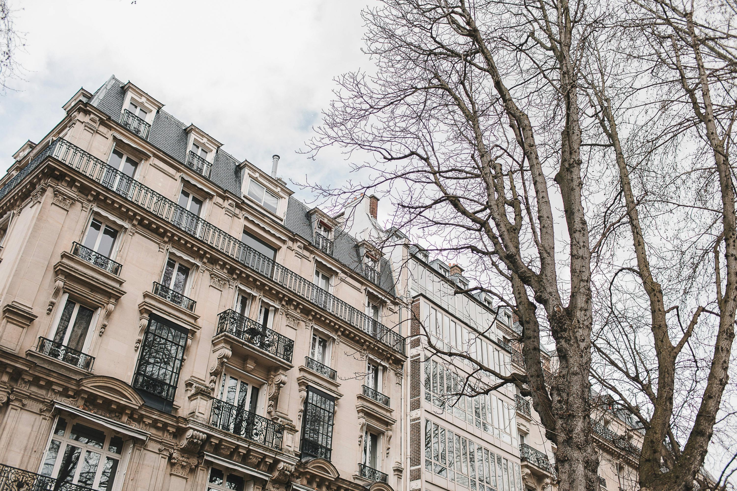View of Haussmannian Apartment?
