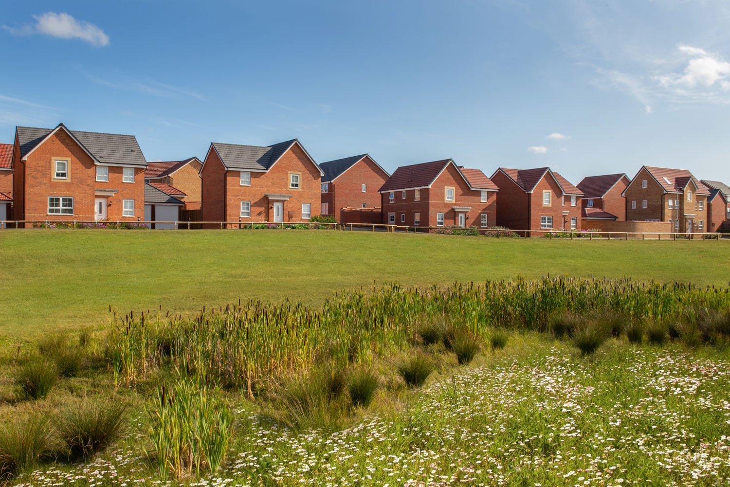 009-bg_wigstonmeadows_leicester_radleigh_alderney_4bed_dsc_8850