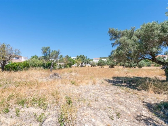 1 1 cfeb1796 34a1 4486 aabd c9604e2d8b53