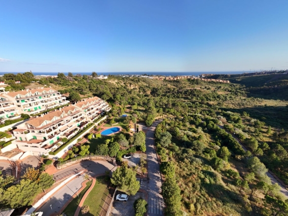 1 7980e48d732b6fc85c14b43b94d2aa54 1355