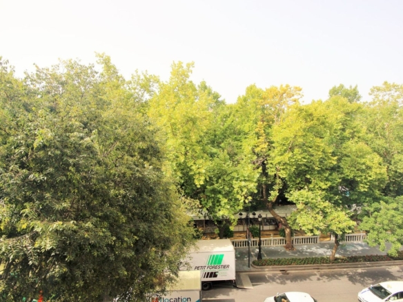 1 7980e48d732b6fc85c14b43b94d2aa54 1558