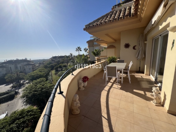 1 7980e48d732b6fc85c14b43b94d2aa54 1562