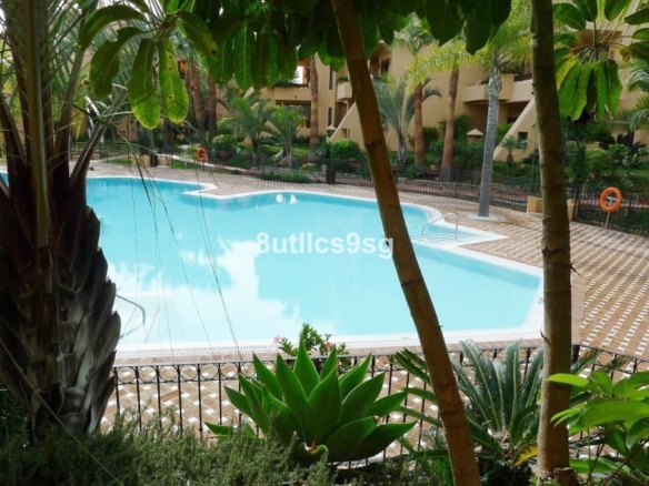 1 7980e48d732b6fc85c14b43b94d2aa54 1697