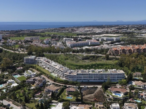 1 7980e48d732b6fc85c14b43b94d2aa54 1713