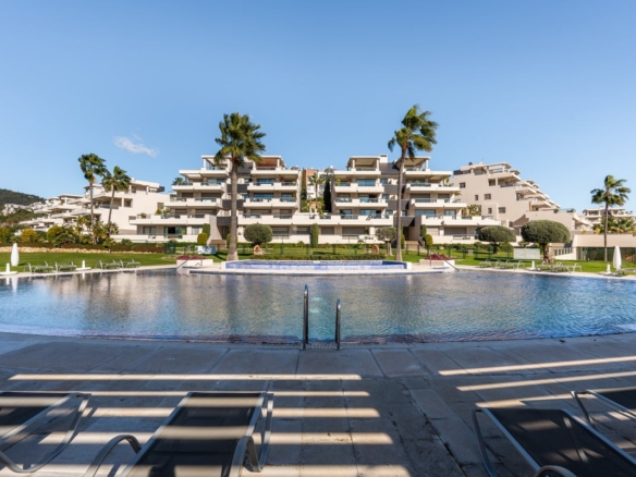 1 7980e48d732b6fc85c14b43b94d2aa54 1714