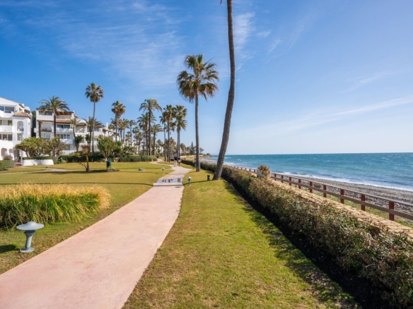 1 7980e48d732b6fc85c14b43b94d2aa54 1838