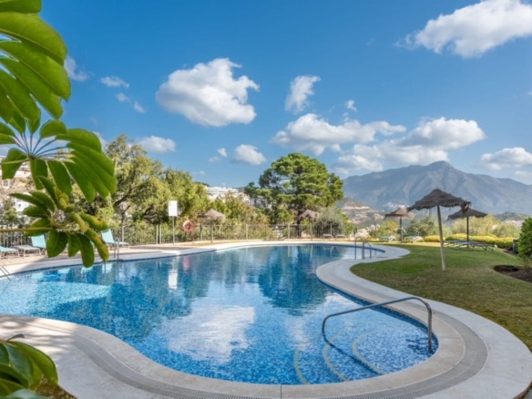 1 7980e48d732b6fc85c14b43b94d2aa54 1854