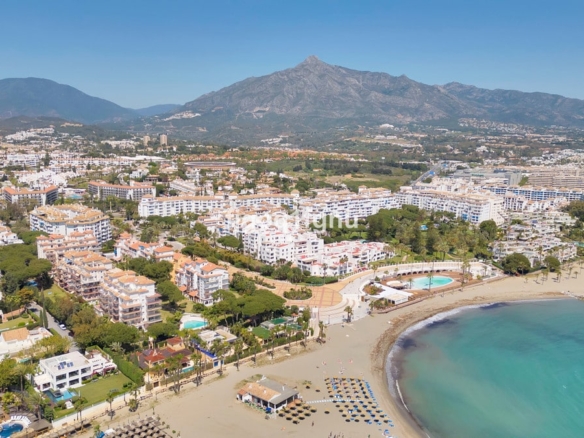 1 7980e48d732b6fc85c14b43b94d2aa54 1916