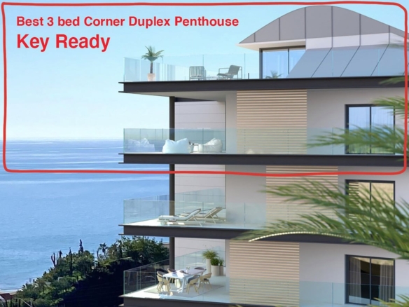 1 7980e48d732b6fc85c14b43b94d2aa54 2167