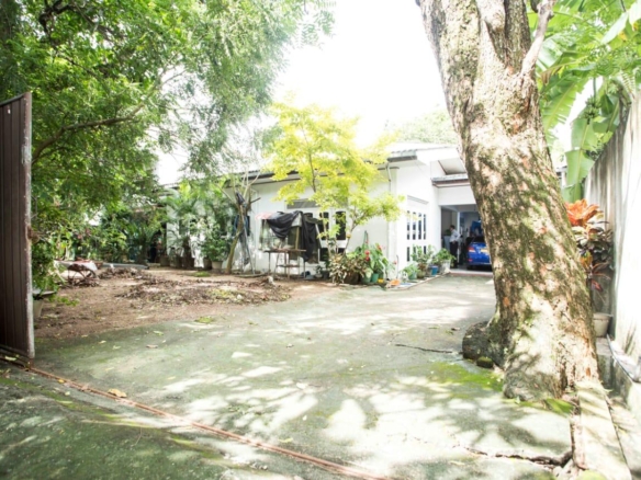 WhatsApp Image 2025 06 26 at 09.01.34 3866e0b7