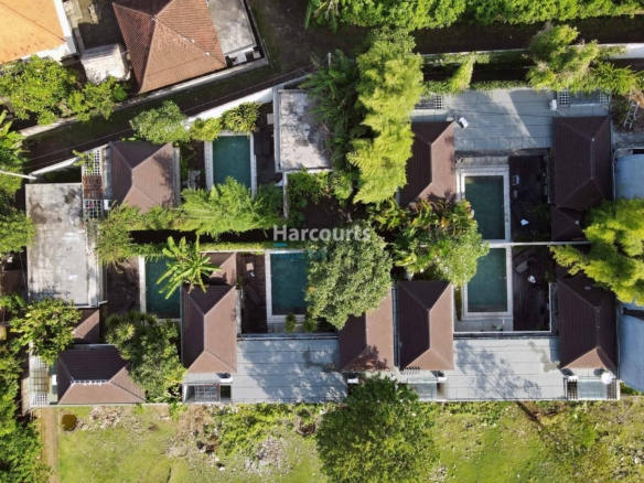 dji fly 20230124 164354 419 1674550119192 photo