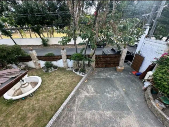 539098244 122155788806767072 4887668760378508058 n