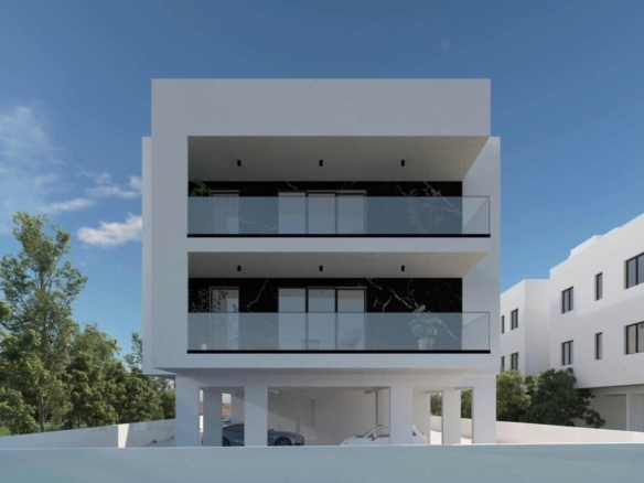 5back view large large