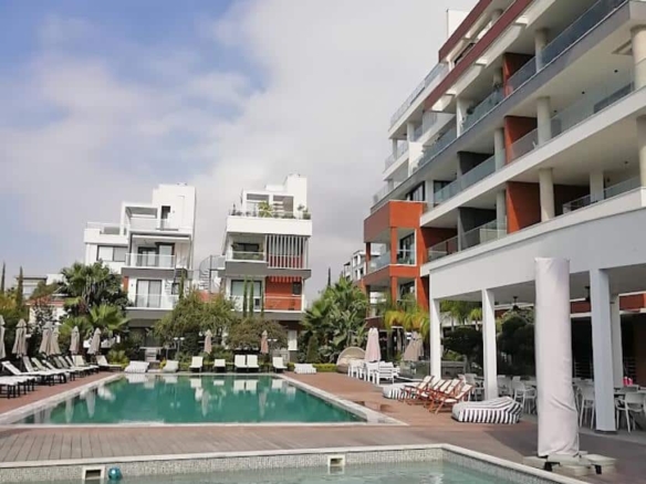 5c41183b d3e9 4981 95b7 5f4da2a51a85 copy large 1