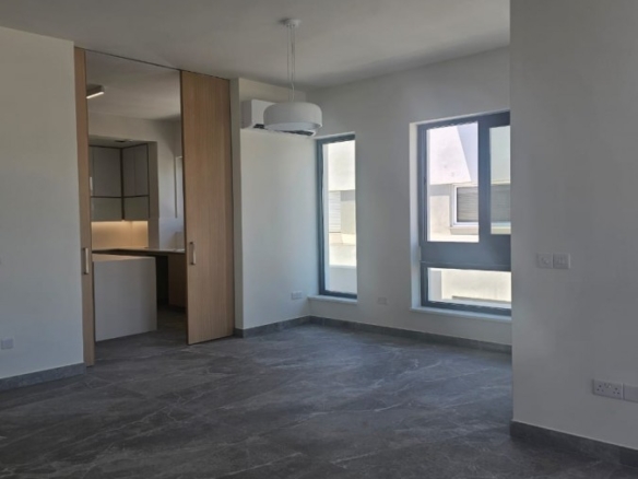 728490 penthouse for sale in neapolis full