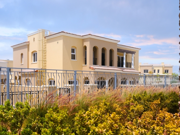 DSCF0092 Edit scaled 1