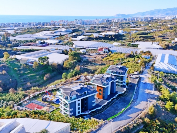 IMG 20250204 WA0084 1