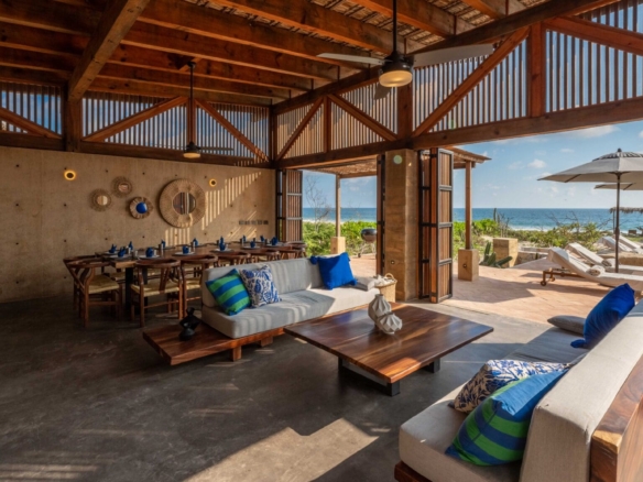 Pochote Palmarito WEB 4 scaled 1