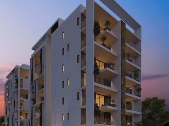 c night ct large large 2