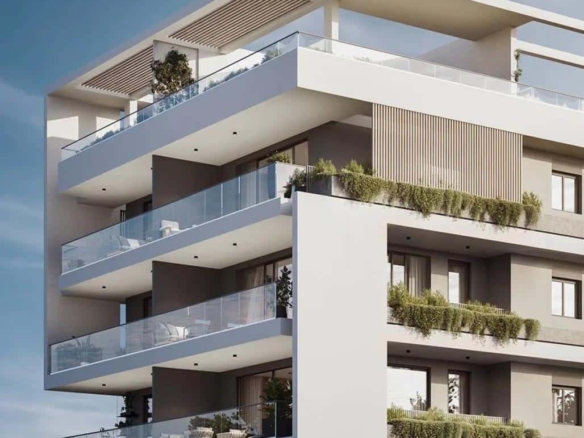 celtis 7 final large large