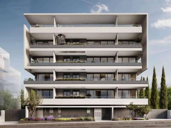 celtis cam 1 final n 1 1 large copy large large