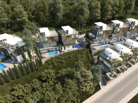 cf49a610 107c 4c89 955d e8e161e50515 large large