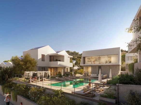 gallery media 2168 large large 2