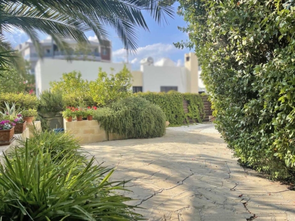 img 2295 large copy large