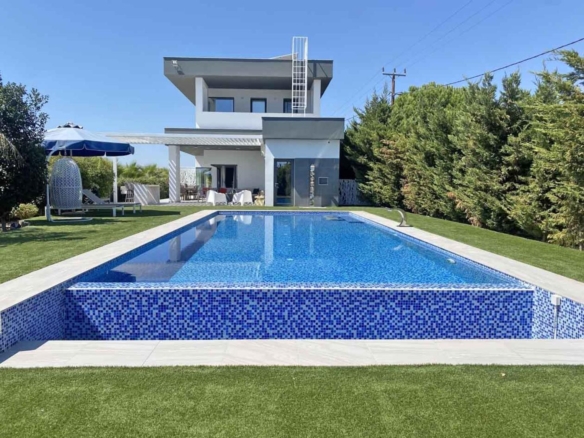 img 6403 large copy large