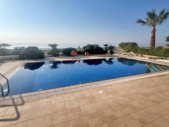 photo 2024 11 05 14 23 36 copy large