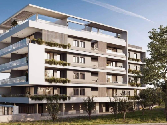 screenshot 2024 07 31 at 32116 pm copy large 1