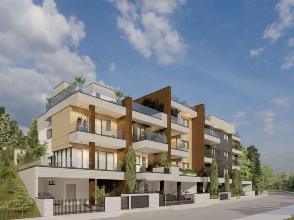 screenshot 2025 01 30 at 42428 pm copy large