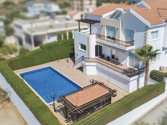 untitled 1 01 copy large large 49