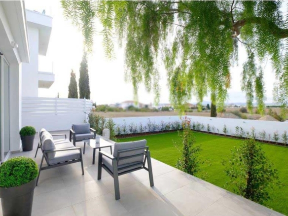 whatsapp image 2023 07 06 at 160155 1 copy large