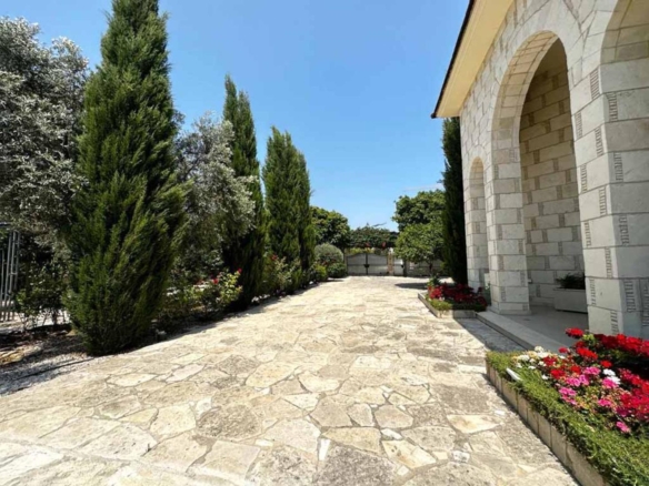 whatsapp image 2023 07 12 at 140711 copy large