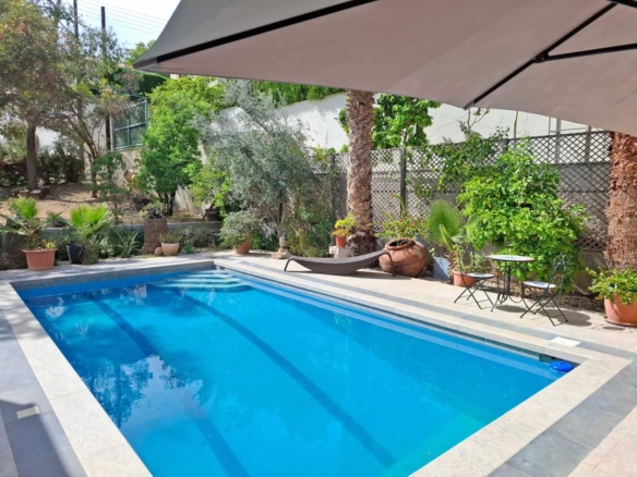 whatsapp image 2025 05 02 at 121532 3 copy large