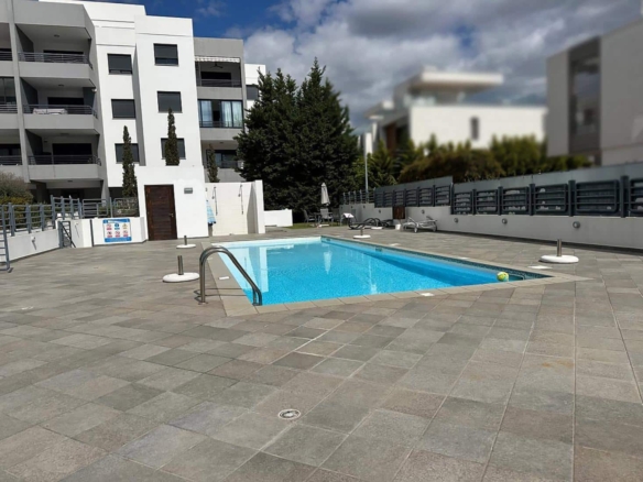 whatsapp image 2025 06 03 at 114917 copy large